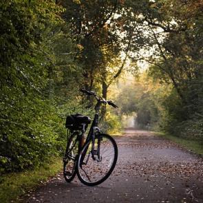 bike-2769021_640