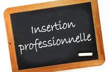 insertion-professionnelle